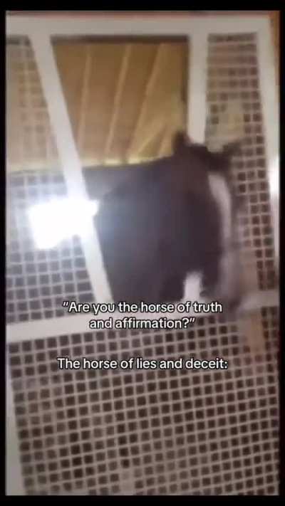 ALSO KNOWN AS THE WUNKbe on the look out