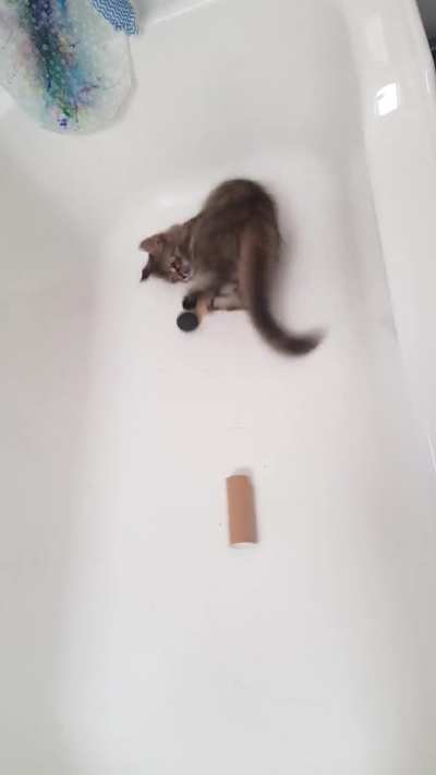 My kitten pulled off a trickshot while playing in the bathtub