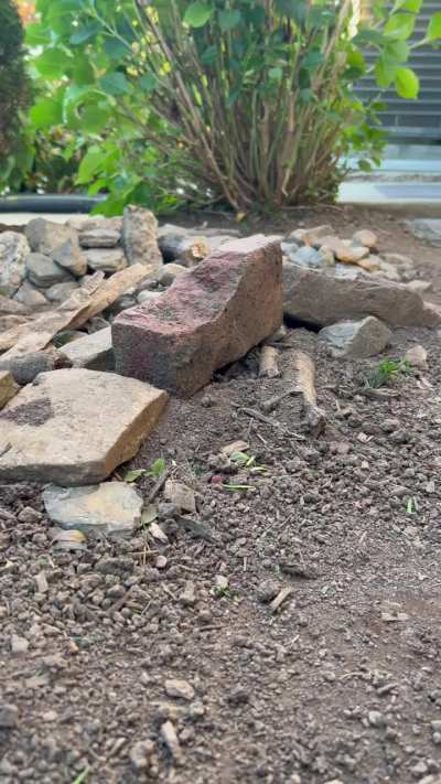 Ascent-18 Scout II Brushless