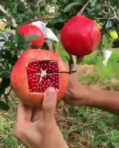 Легкий способ очистить гранат