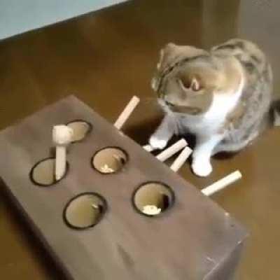 Gonna need some advanced math to figure this one out