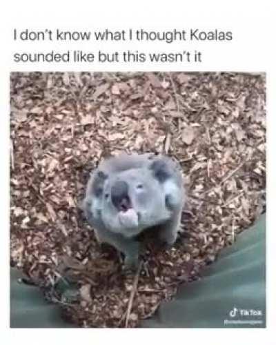 Never thought they sound like that