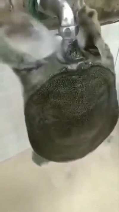 why is him so thirsty