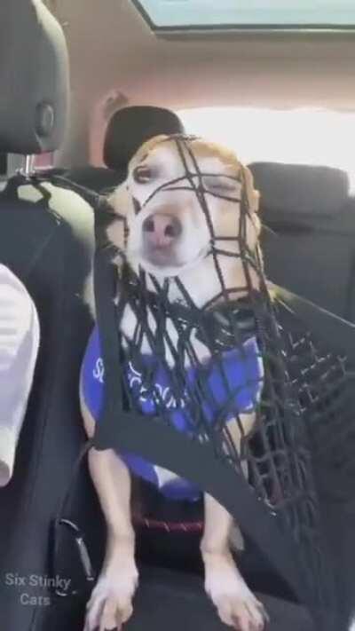 Feeling all tangled up