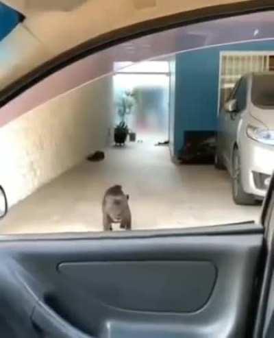 Dukes of Hazard Style