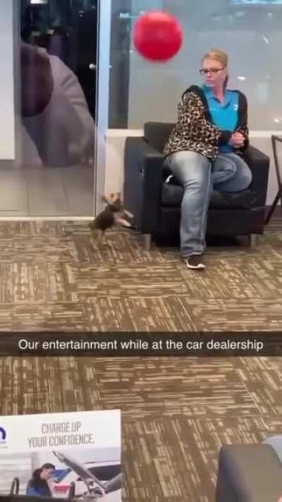 Killing time at the dealership