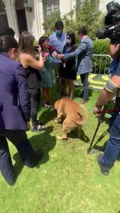 Hoy en el punto de prensa de la CC