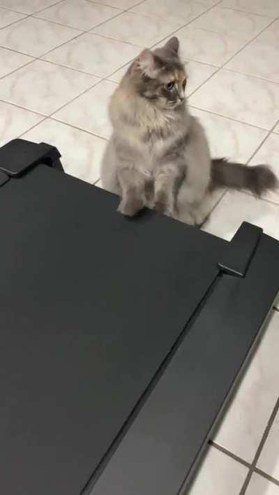 Touch the treadmill