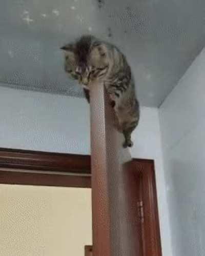 This is the best place for rest