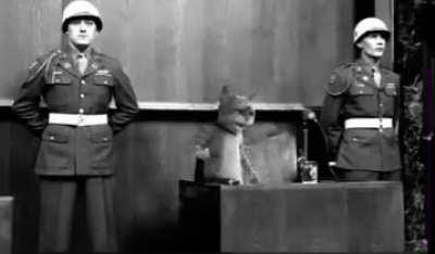 Petah. i require assistance pretty please :b