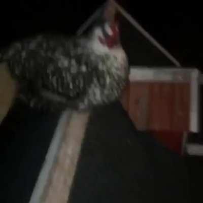 Farming isn&rsquo;t for me