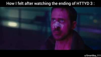 How I felt after watching the ending of HTTYD 3 ;(