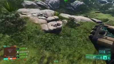 What specialists are for