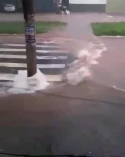 Everybody’s gangsta till the crosswalk heads out