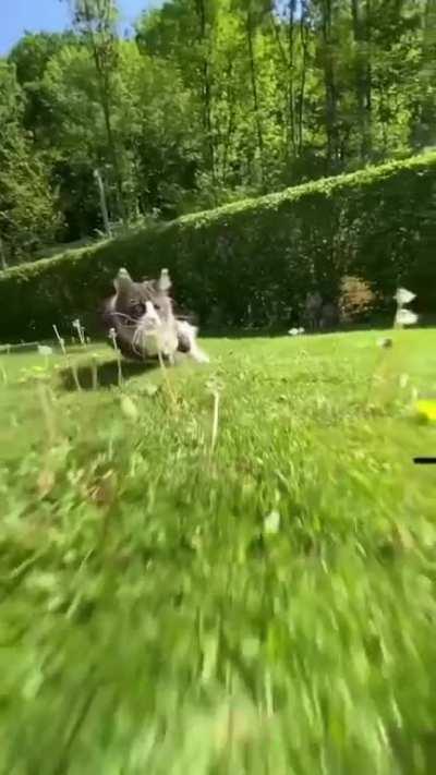 for a great shot just by using a simple trick.