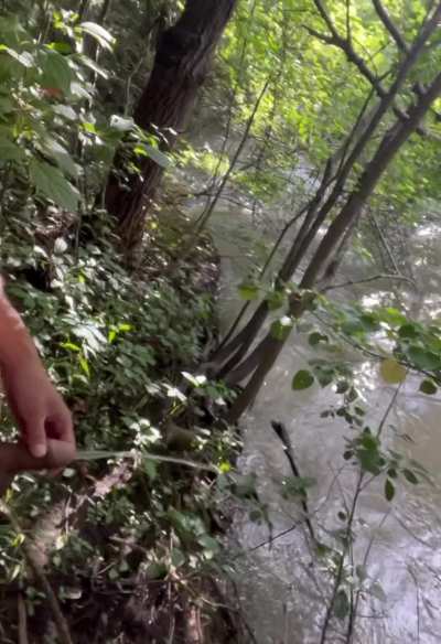 Small stream flows into the big stream