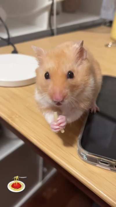 Pancake tries spaghetti!