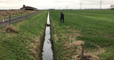 to free the sheep from a ditch