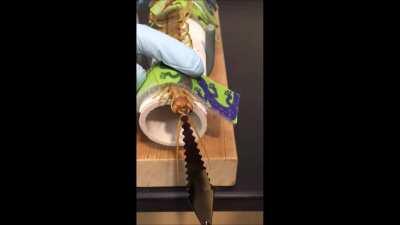 This sub is still kinda dead