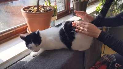 Squeakbeast loves to be used as drums