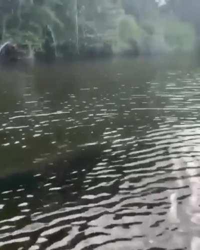 absolute Big Boi races a motorboat