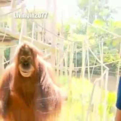 vcs criaram um psicopata