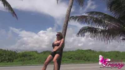 Ana Mancini flashing on the side of the road
