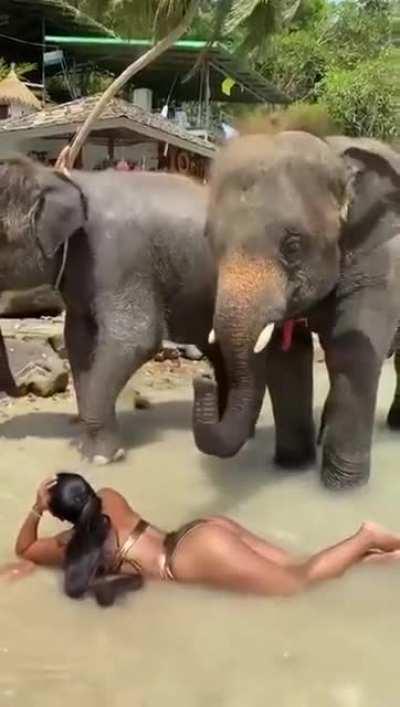 not my proudest wank