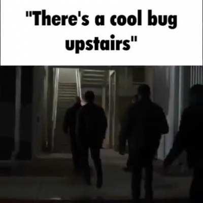 interesting creature