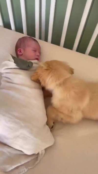 Be still my heart ❤️