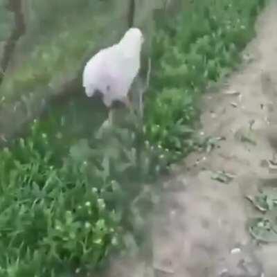 I told you I've learned my lesson, YES I'M SU....