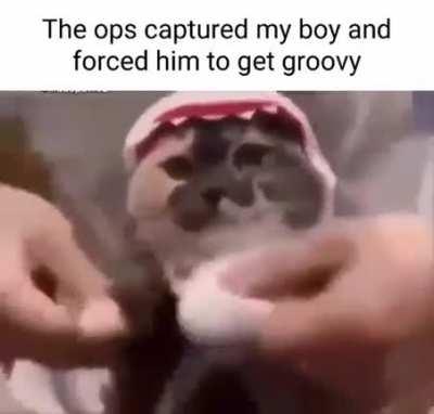 Fate worse than a boogie