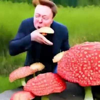 🍄 (heil spez)