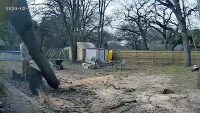 He always wanted to be a lumberjack...