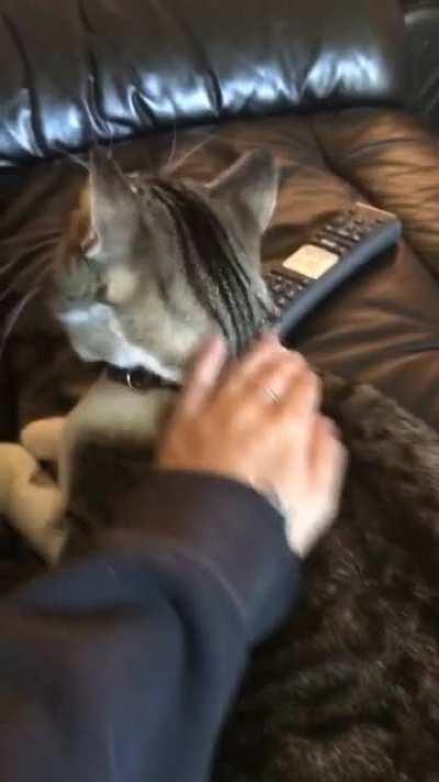 the face he makes when he’s about to attack