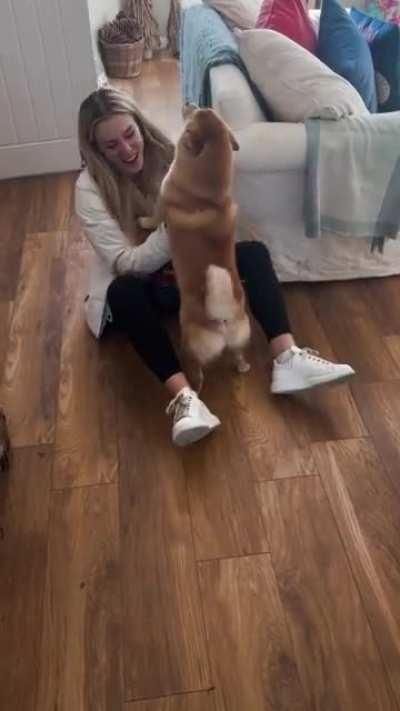 My wife went away for 4 days and this is how our boy Bear greeted her when she got back.