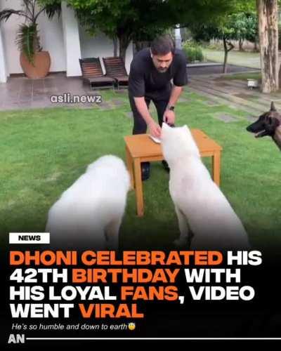 Bandey mein damm hai