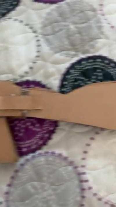 homemade rubber band gun