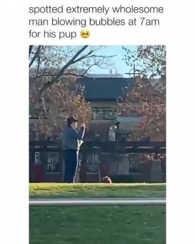 Such a delicately blown bubble