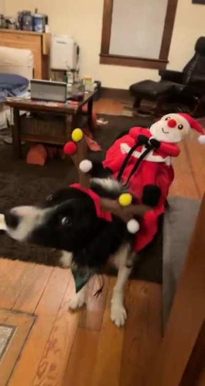 “Dad can I take it off yet?”