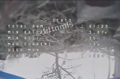 RU POV: Ukrainian FPV drone gets downed by a cat