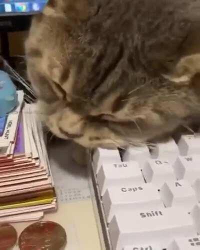 Someone: how is your diet? Me: