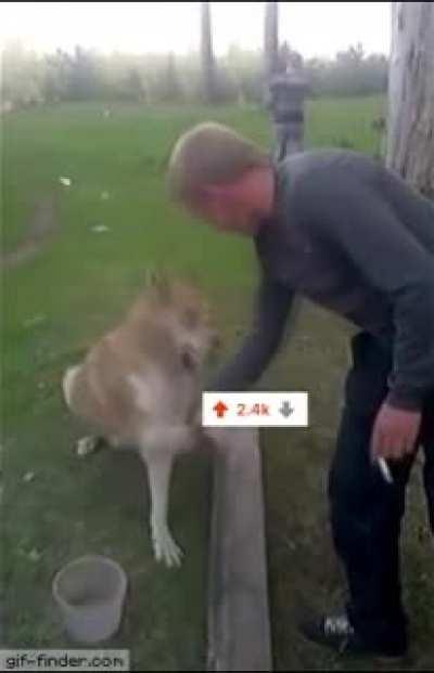 Redditors whenever they