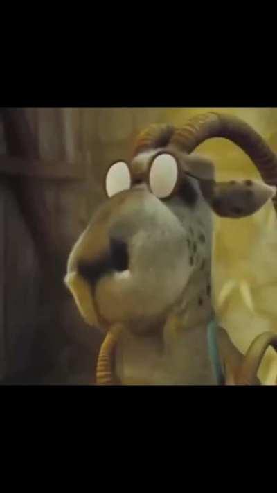 rapaz ele ta sem zap