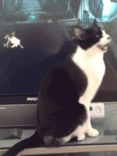 Attack on Kitler
