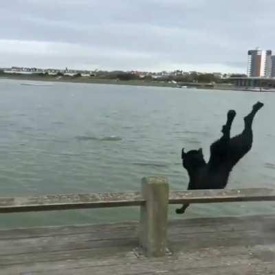 HMK while I jump into the lake.