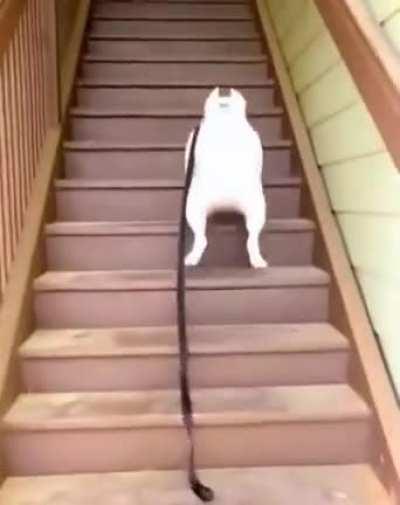 Let’s get this day started