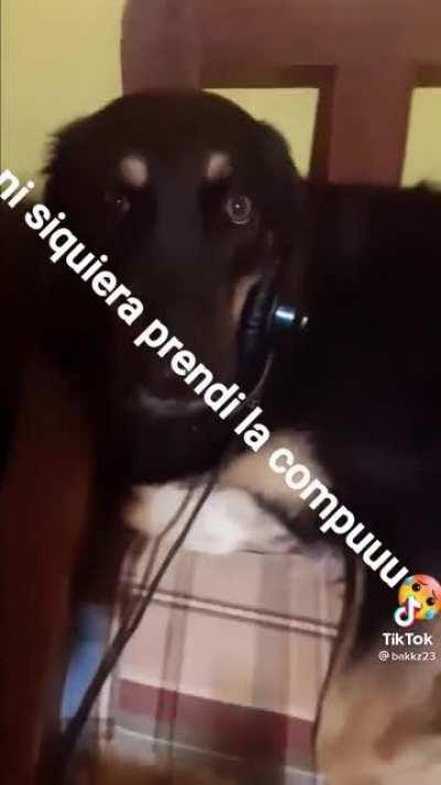 El perro computador 🥵🤑👌