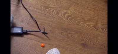 Gotta love Max and Chad