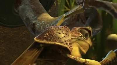 How the U.S. government is acting towards the American people regarding the Luigi situation. Americans wake up!